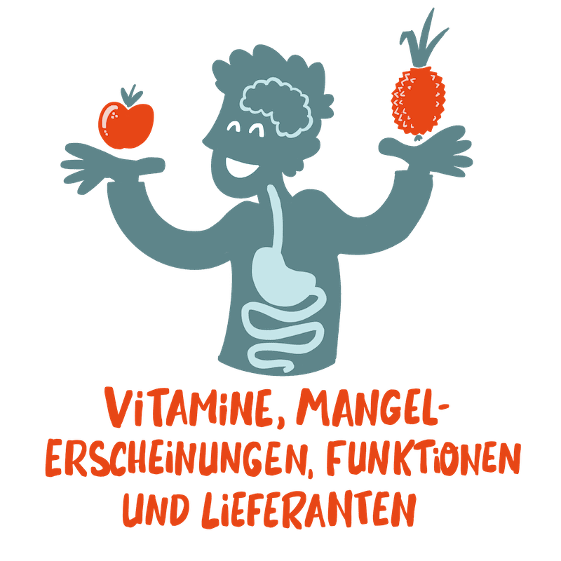 1.4 Vitamine Mangelerscheinungen Mit Text
